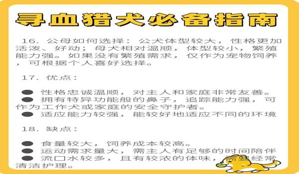 三角洲行动哪个角色有寻血猎犬(《三角洲行动》里寻血猎犬是哪个角色?) 三角洲行动哪个角色有寻血猎犬(《三角洲行动》里寻血猎犬是哪个角色?)